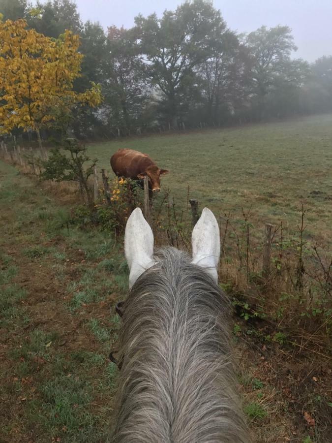Ferme Gite Equestre En Charente Confolens Ngoại thất bức ảnh