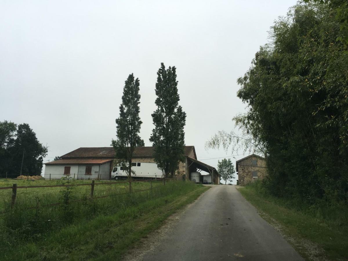 Ferme Gite Equestre En Charente Confolens Ngoại thất bức ảnh