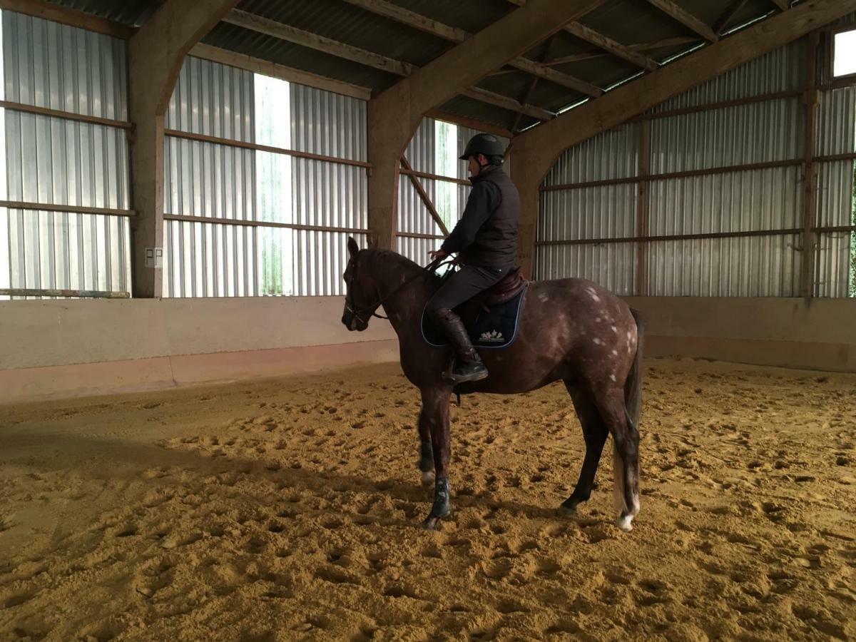 Ferme Gite Equestre En Charente Confolens Ngoại thất bức ảnh